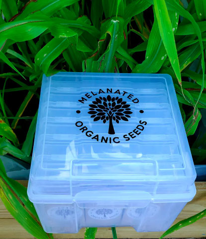 6 Case Seed Storage Container