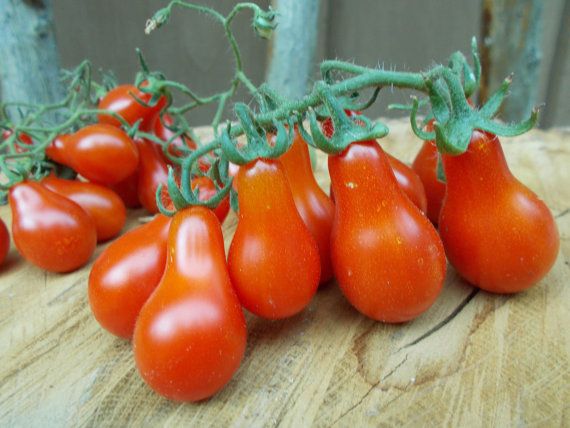 Tomato-Red | Melanated